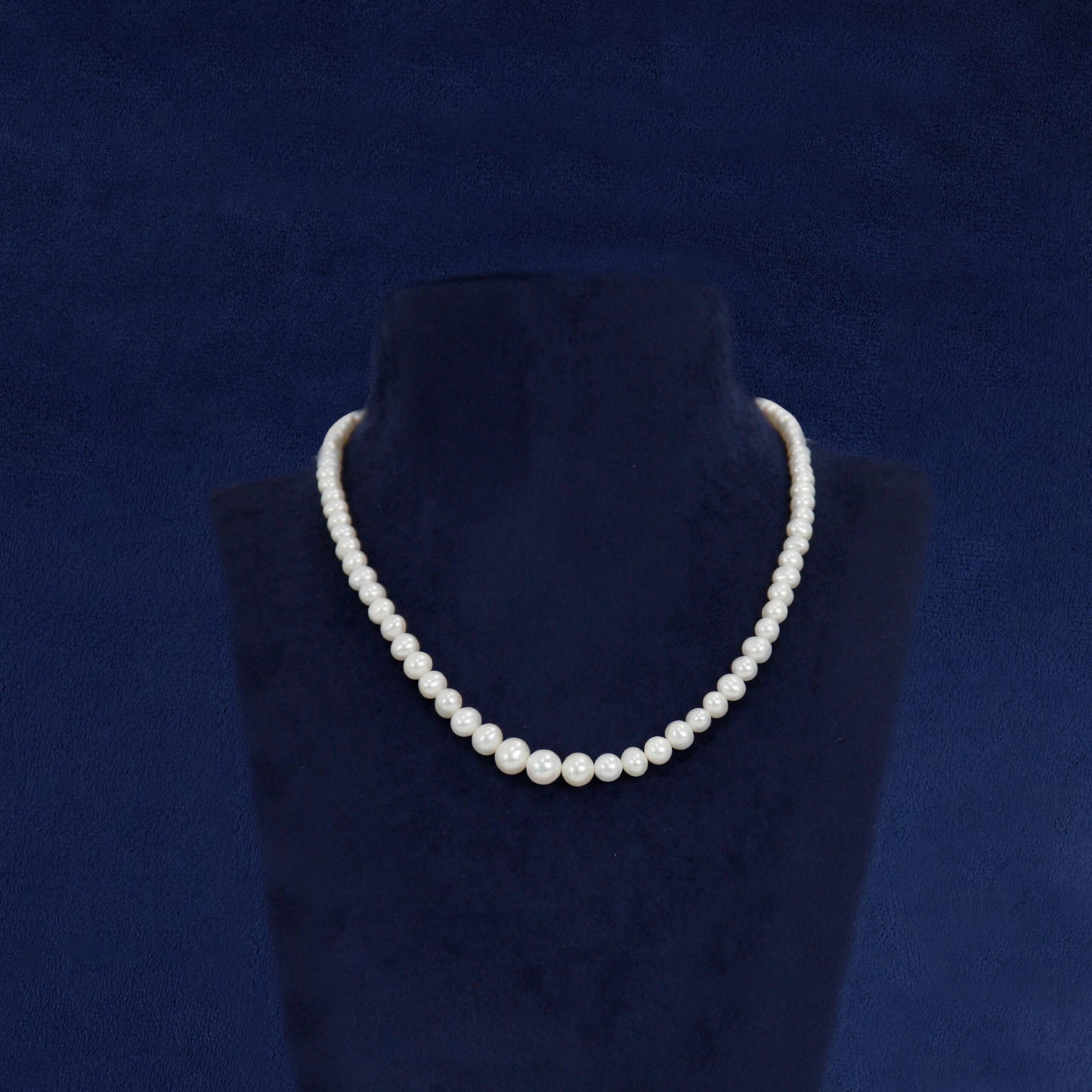 "Single line white pearl mala for classic traditional wear"